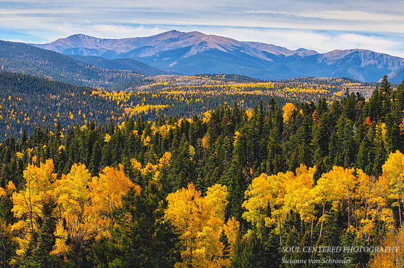 Wheeler Peak 1