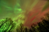 Red Green Aurora, 11.11.'25 1