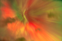 Red Green Aurora, 11.11.'25 6