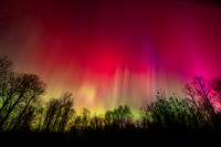 Aurora, 11.12.'25 2
