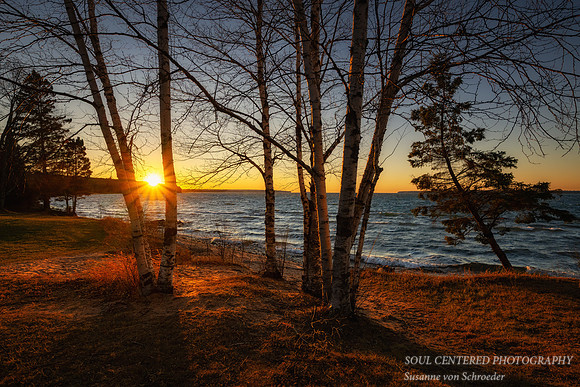 Lake Superior sunset with birch trees, mid Nov. '25