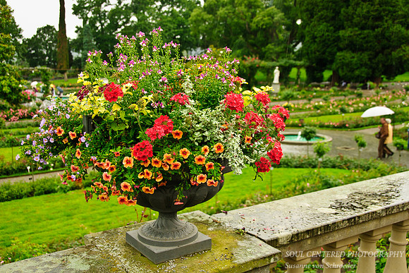 Flower arrangement, Insel Mainau