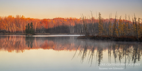 Morning light and reflections, Audie Lake, late October. '25 1, panorama