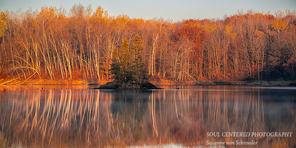 Morning light and reflections, Audie Lake, late October. '25 3, panorama