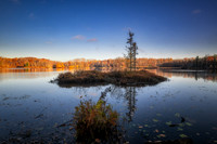 Small Tamarack bog, Audie Lake, late October. '25