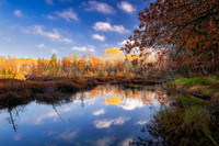 Tamarack bog and reflections, Audie Lake, late October. '25 4