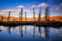Tamarack bog and reflections, Audie Lake, late October. '25 5