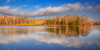 Tamaracks and reflections, Audie Lake, late October. '25 3, panorama