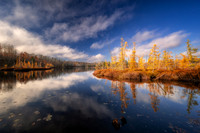 Tamarack bog and reflections, Audie Lake, late October. '25 7