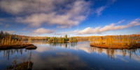 Tamaracks and reflections, Audie Lake, late October. '25 4, panorama