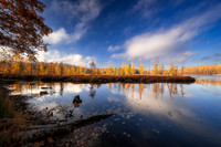 Tamarack bog and reflections, Audie Lake, late October. '25 6