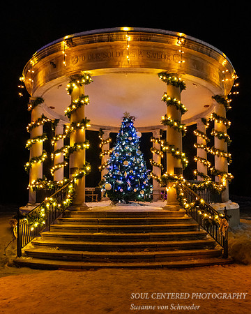 Blue Christmas tree, Irvine Park Chippewa Falls, 8x10"
