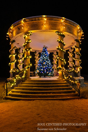 Blue Christmas tree, Irvine Park Chippewa Falls