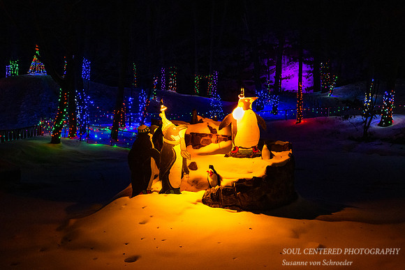 Christmas lights, Pinguens, Irvine Park Chippewa Falls