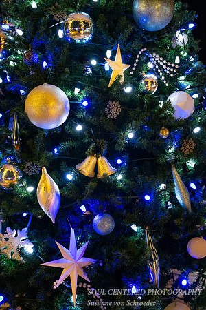 Blue Christmas tree, Irvine Park Chippewa Falls, detail