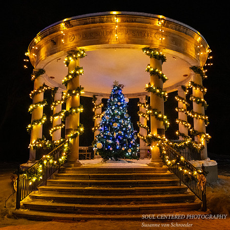 Blue Christmas tree, Irvine Park Chippewa Falls, square
