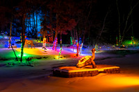 Christmas lights, Turtle, Irvine Park Chippewa Falls