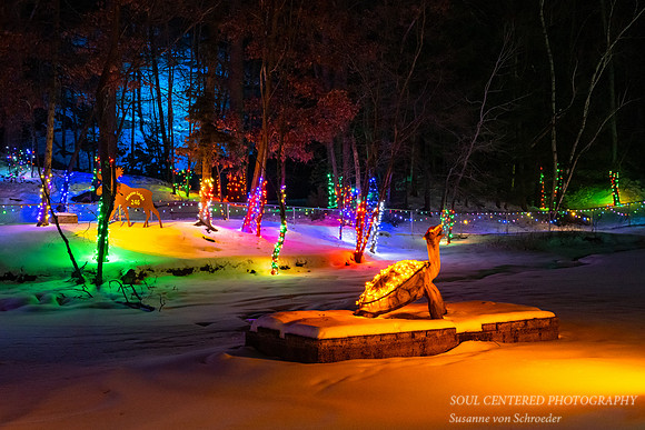 Christmas lights, Turtle, Irvine Park Chippewa Falls