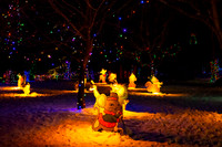 Christmas lights, Mouse, Irvine Park Chippewa Falls