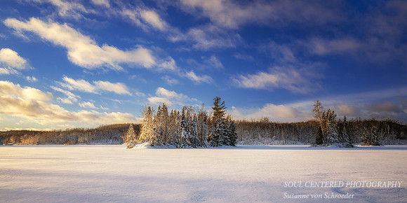 Fresh snowfall, evening light at Audie Lake, Dec. '25 1, panorama