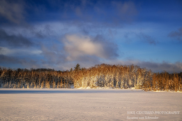 Fresh snowfall, evening light at Audie Lake, Dec. '25 3