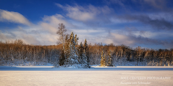 Fresh snowfall, evening light at Audie Lake, Dec. '25 4, panorama