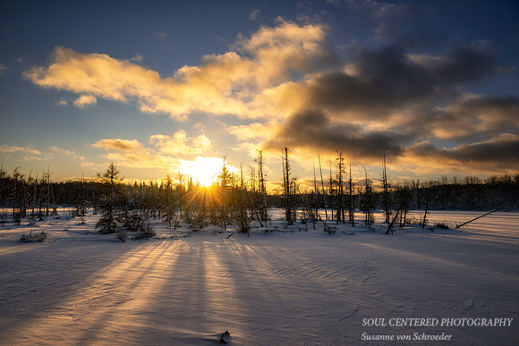Fresh snowfall, sunset at Audie Lake, Dec. '25