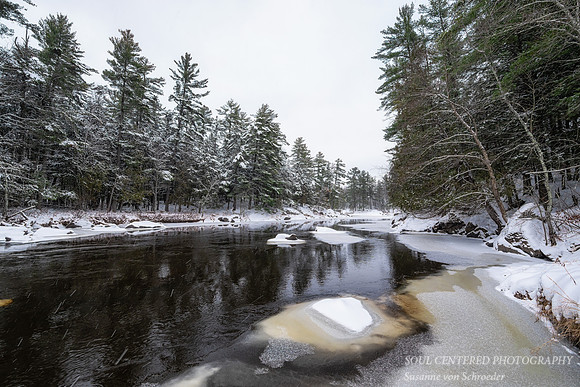 Flambeau river, Slough Gundi, Nov. '25 2