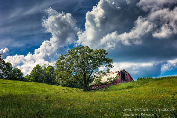 Wisconsin barn on a summer day