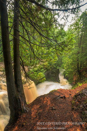 Snake Pit Falls