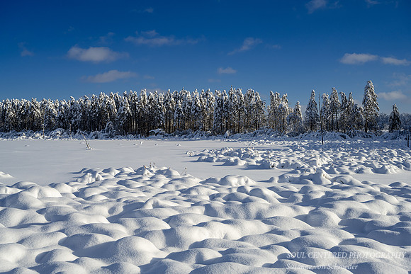 Winter landscape in the Blue Hills 2