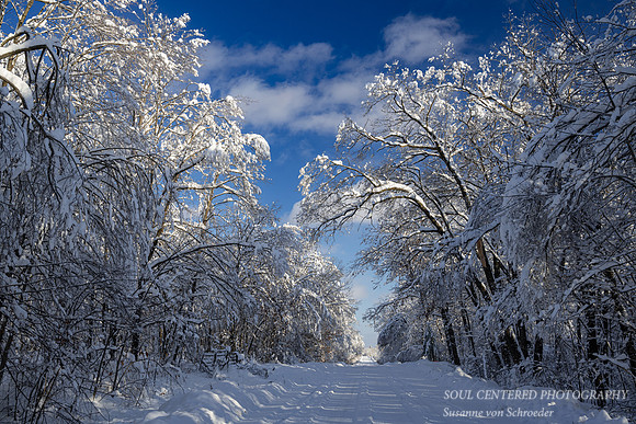 Winter road in the Blue Hills 3