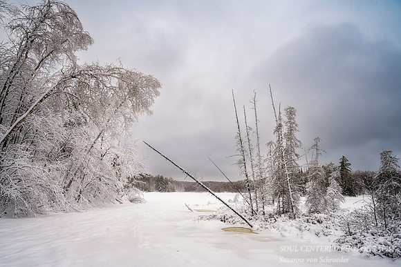 Winter scene at Audie Lake, Dec. '22 1