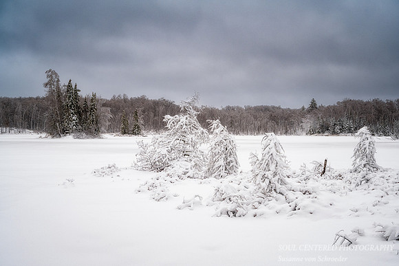 Winter scene at Audie Lake, Dec. '22 2