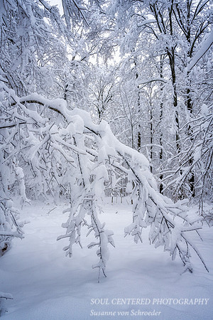 Snow Storm, mid December '22 2