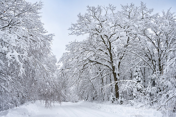 Winter road in the Blue Hills 2