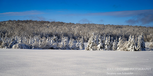 Winter landscape in the Blue Hills 3