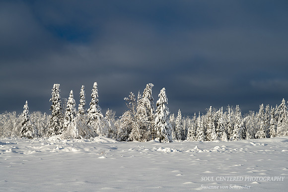 Winter landscape in the Blue Hills 1