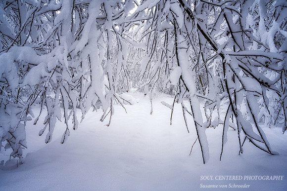 Snow Storm, mid December '22 4