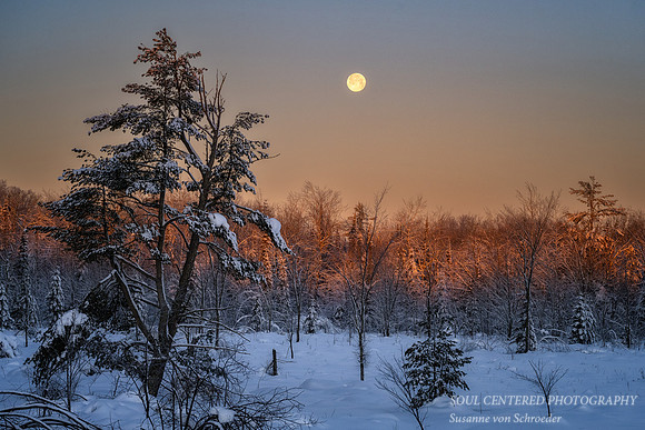 January full moon setting 1