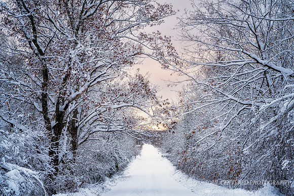 Winter road, January, '23