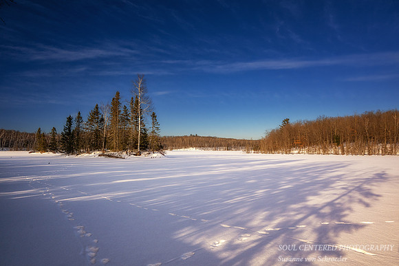 Sunny winter day with shadows, Audie Lake, February '26