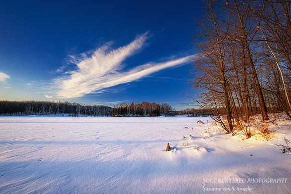 Sunny winter day with cloud, Audie Lake, February '26 2