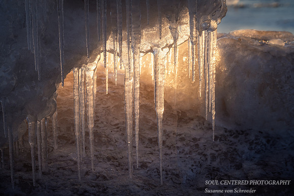 Sunlit icicles