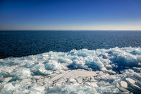 Blue & white ice shards, with animal tracks, Madeline Island