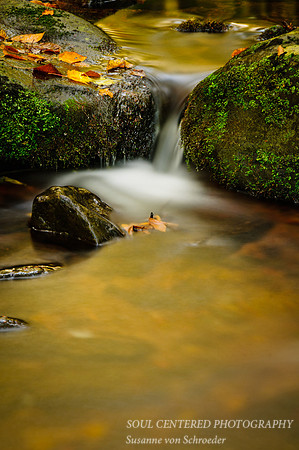 Blue Hills, water & rocks, golden