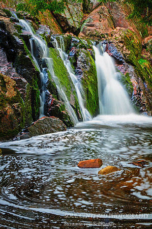 Morgan Falls, spring 5