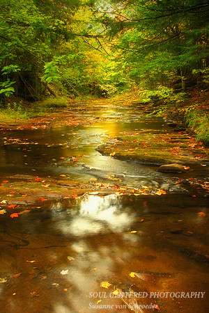 Trail of Light