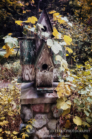 Bird house, vintage_