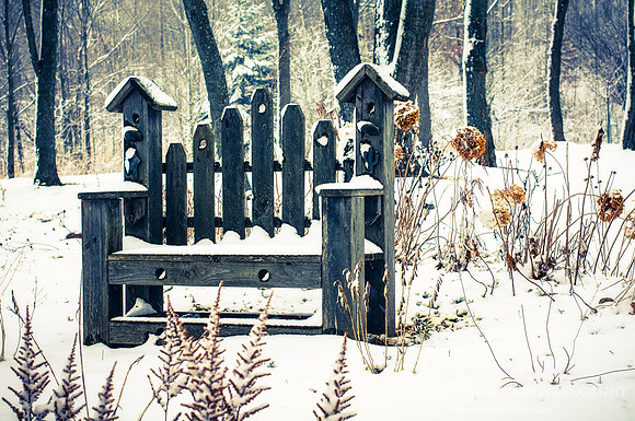 Garden bench, winter
